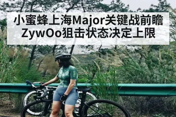 小蜜蜂上海Major关键战前瞻 ZywOo狙击状态决定上限 - App